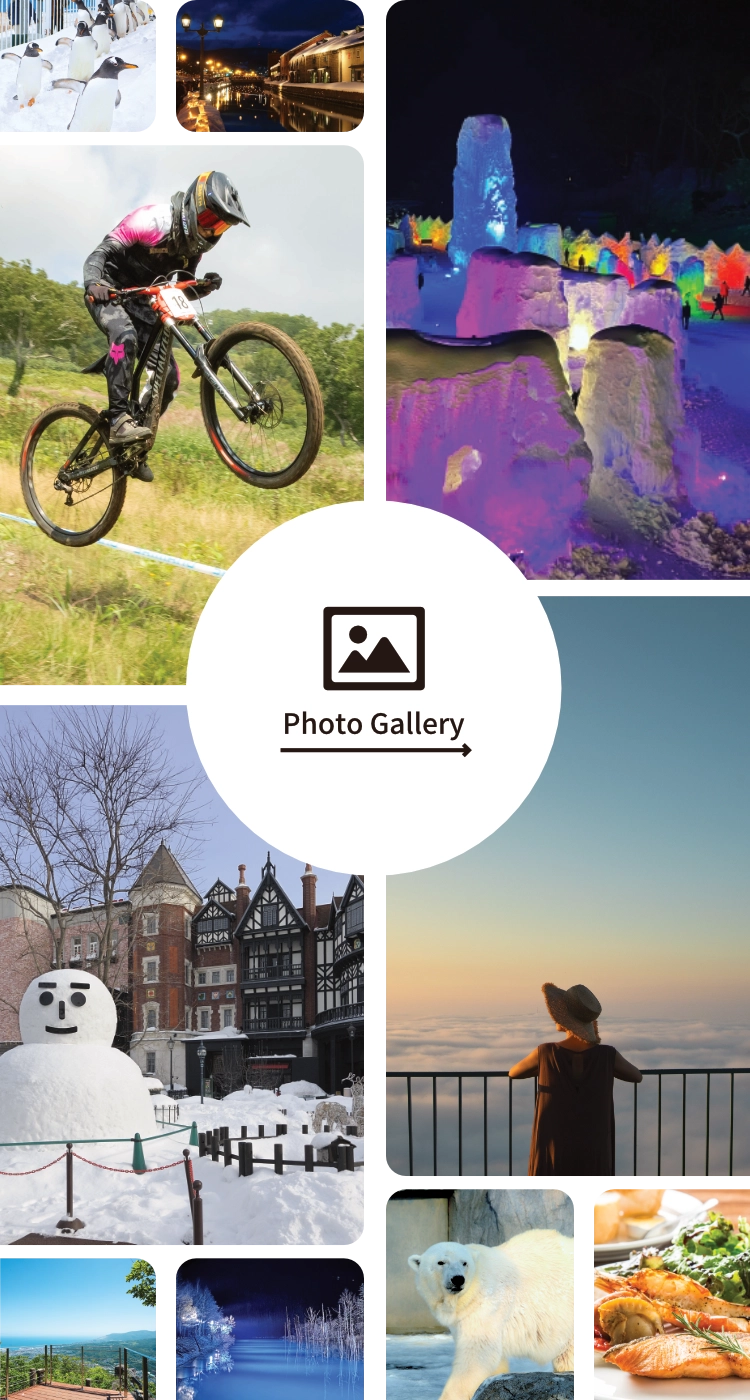 フォトギャラリーを見る