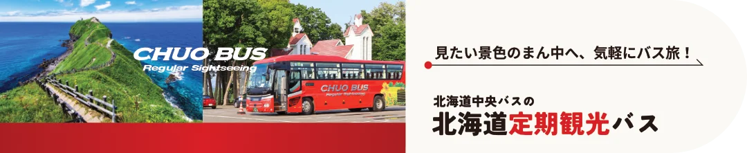 北海道定期観光バス