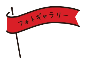 フォトギャラリー