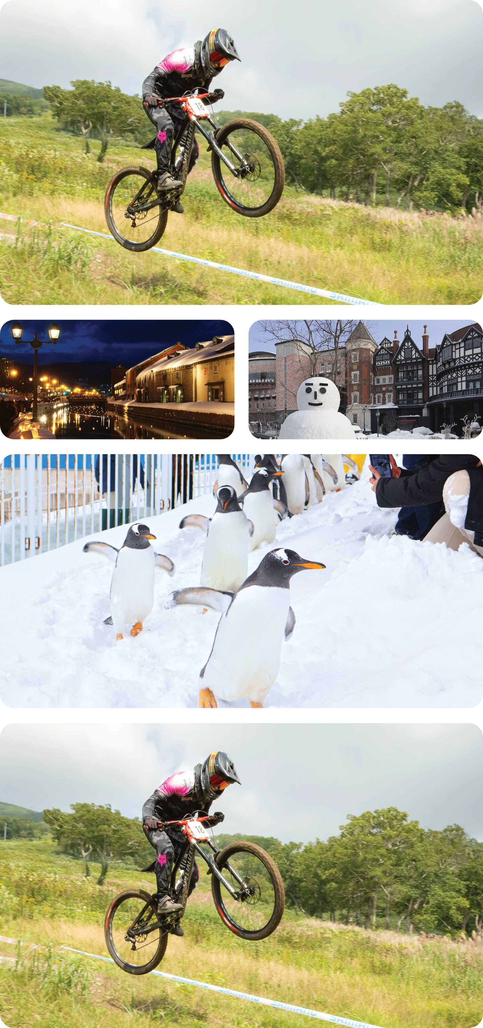 フォトギャラリー