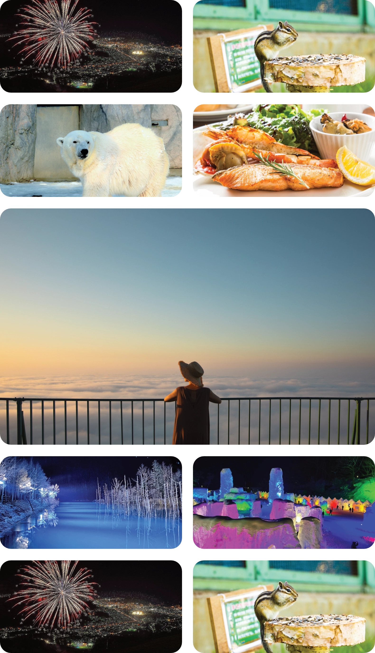 フォトギャラリー